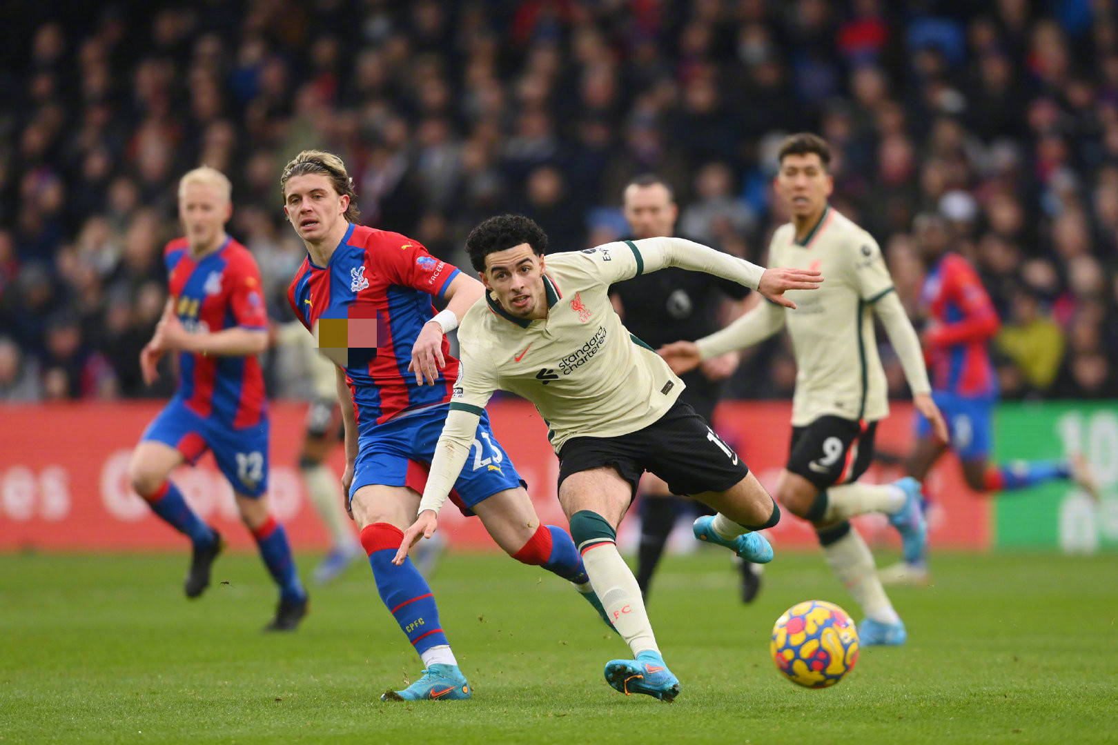 了北汽男篮 了北汽男篮